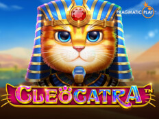 Cats casino4